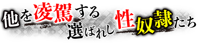 他を凌駕する性奴隷たち